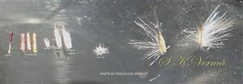  Parts of pedicellate spikelet